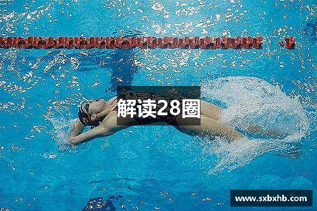 解读28圈